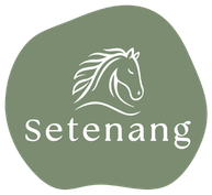 Setenang